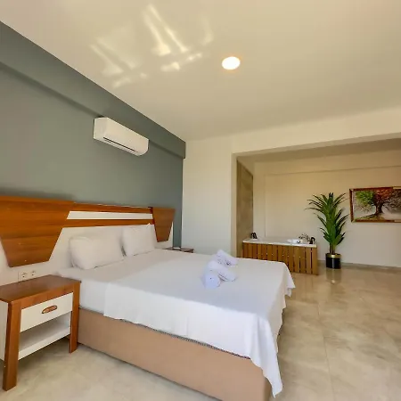 别墅 Star Villa, Oezel Havuzlu,